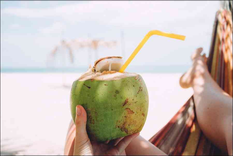 Nước dừa bao nhiêu calo? Uống nước dừa có béo không và nên uống khi nào?
