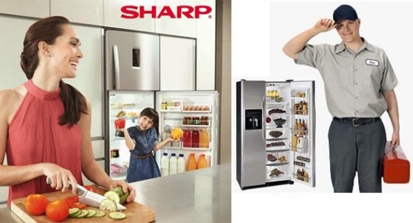 Sửa Tủ Lạnh Sharp