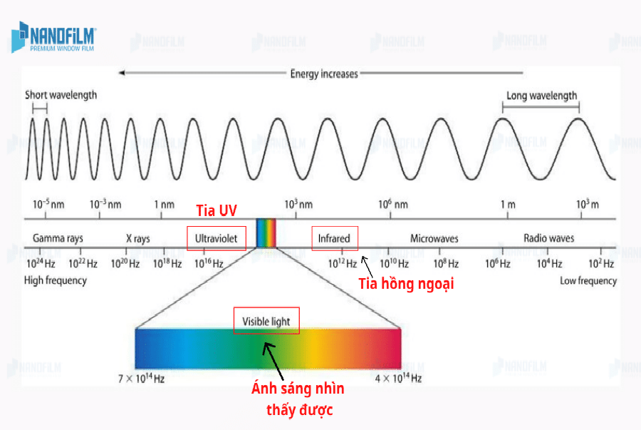 Tia hồng ngoại là gì? Đặc điểm và những ứng dụng trong cuộc sống