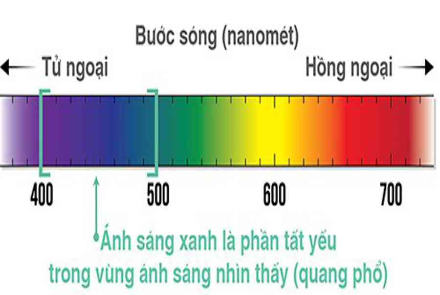 Ánh sáng xanh có hại cho mắt là gì và những biện pháp để bảo vệ cho đôi mắt của bạn trong thời kỳ công nghệ hóa hiện nay