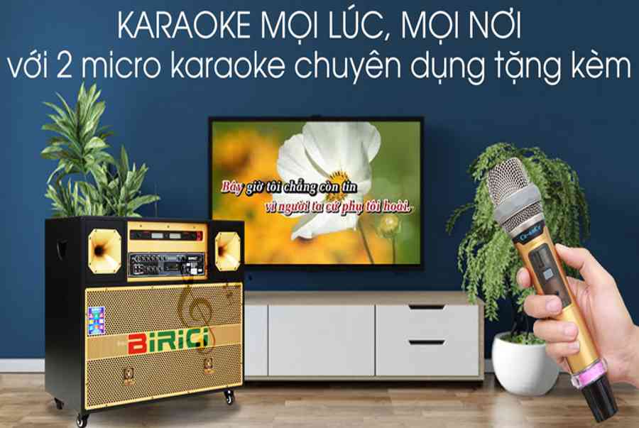 Loa điện Karaoke Birici MX-700 450W giá tốt, chính hãng, có trả góp 0%