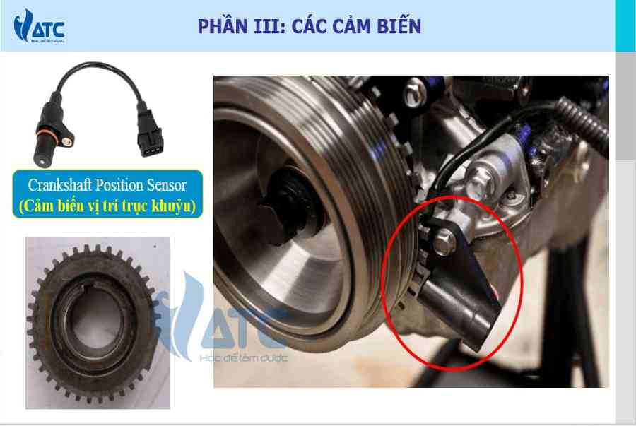 Chi tiết cảm biến vị trí trục khuỷu – Crankshaft Position Sensor