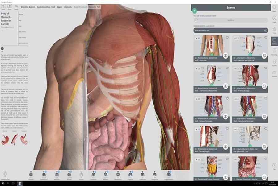 Tải Complete Anatomy: Atlas giải phẫu cơ thể người 3D trên máy tính