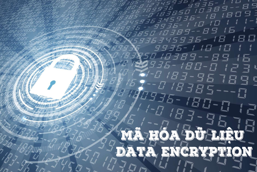 Mã hóa dữ liệu (Data encryption) là gì? Ý nghĩa trong thương mại điện tử