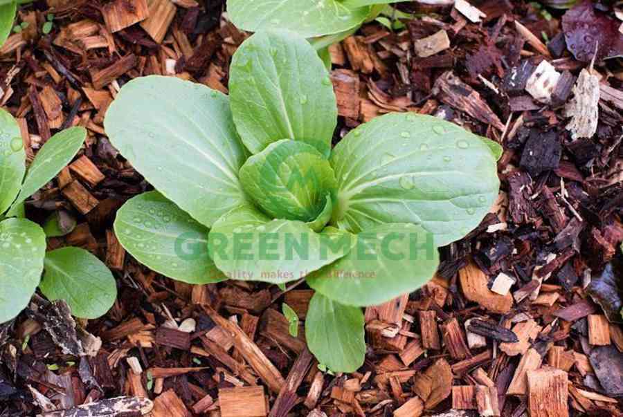 Máy băm gỗ GREEN MECH chất lượng cao giá tốt | 0941108888