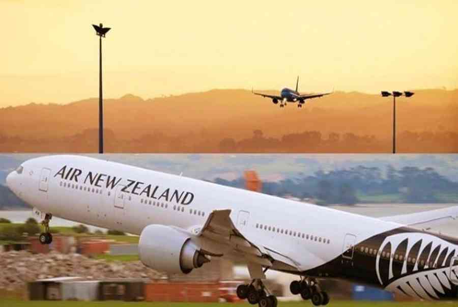 Đi New Zealand quá cảnh ở đâu, chọn hãng bay nào giá rẻ nhất