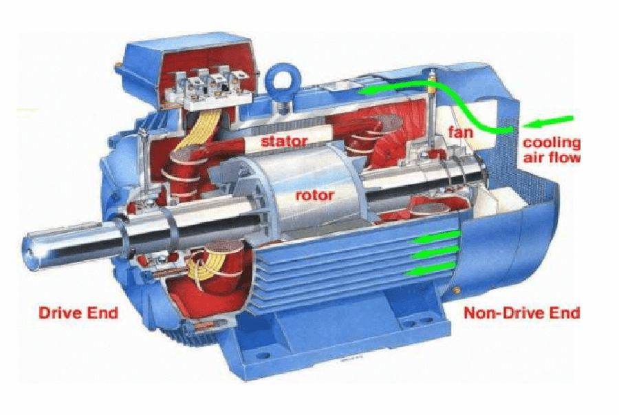 Động Cơ Điện 1 Pha Là Gì? Cấu Tạo, Ứng Dụng Và Nguyên Lý Hoạt Động, Cách Lựa Chọn