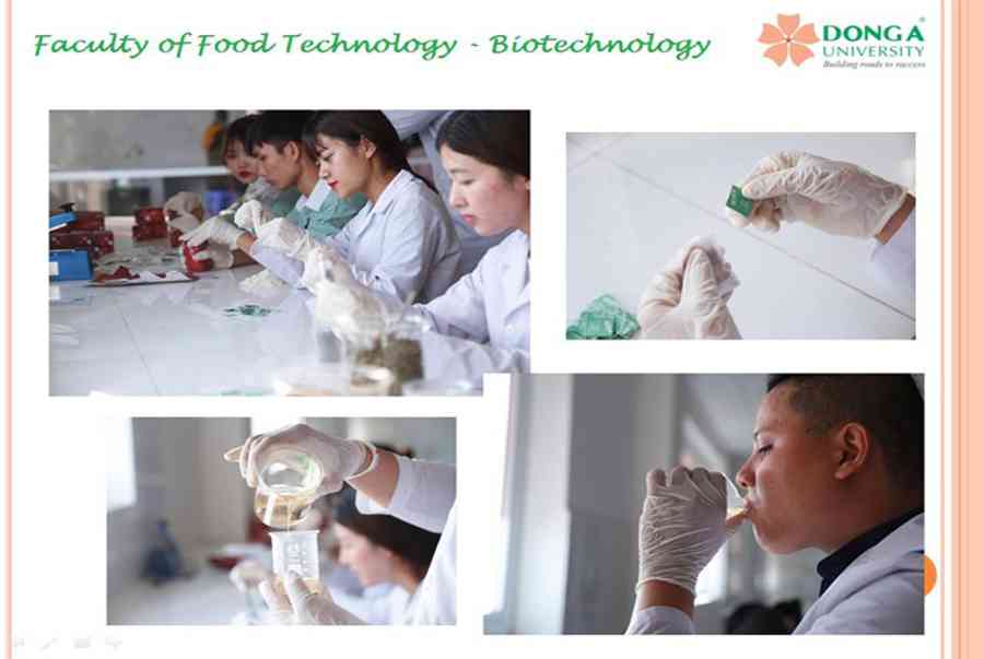 TOP các trường có ngành công nghệ thực phẩm đào tạo tốt nhất!