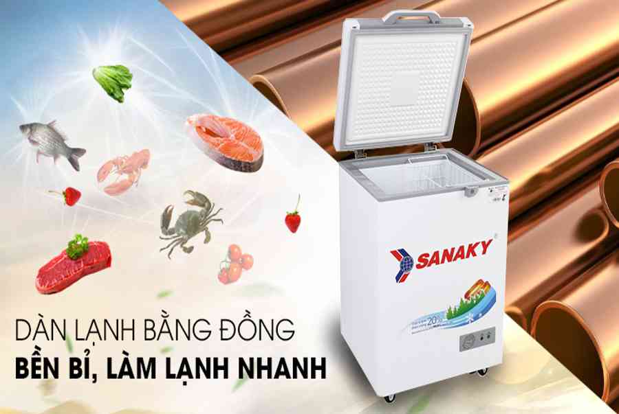 Tủ đông Sanaky 100 lít VH-1599HYK – Chính hãng | Điện máy XANH