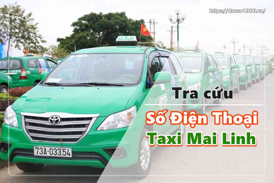 Số Điện Thoại Taxi Mai Linh Của Mỗi Thành Phố Trên Toàn Quốc