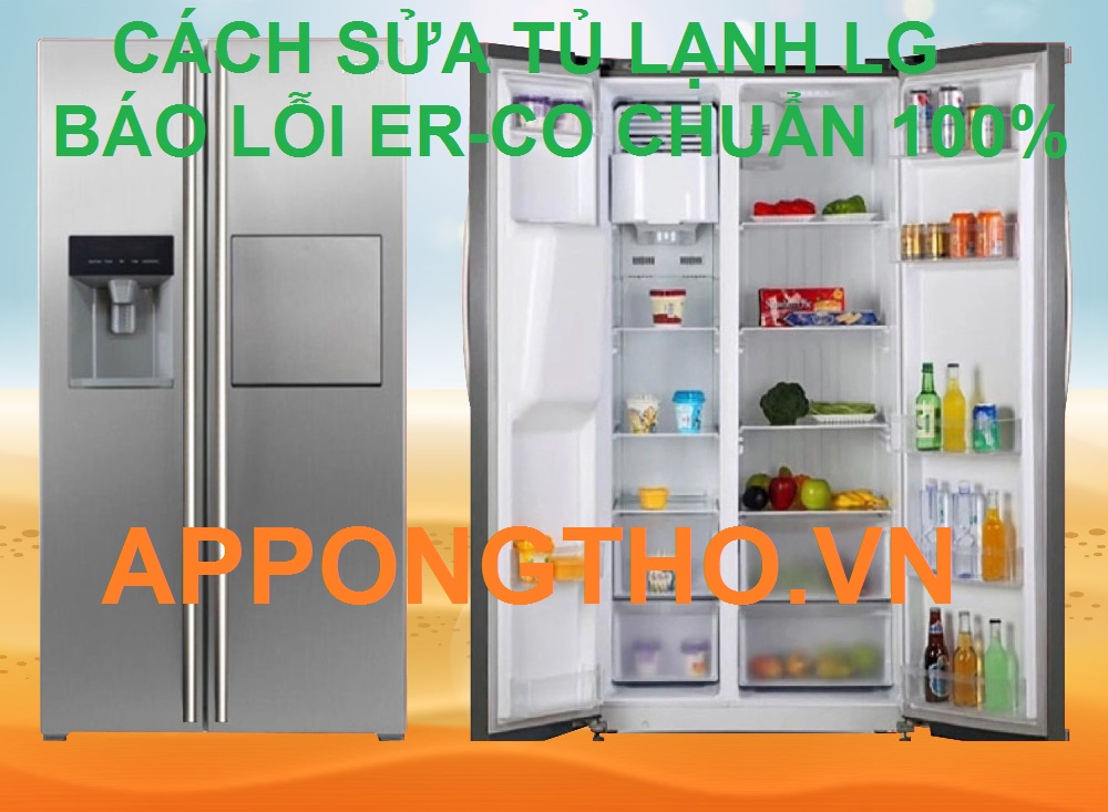 Dấu hiệu LG tủ lạnh hiện lỗi ER-CO là gì?
