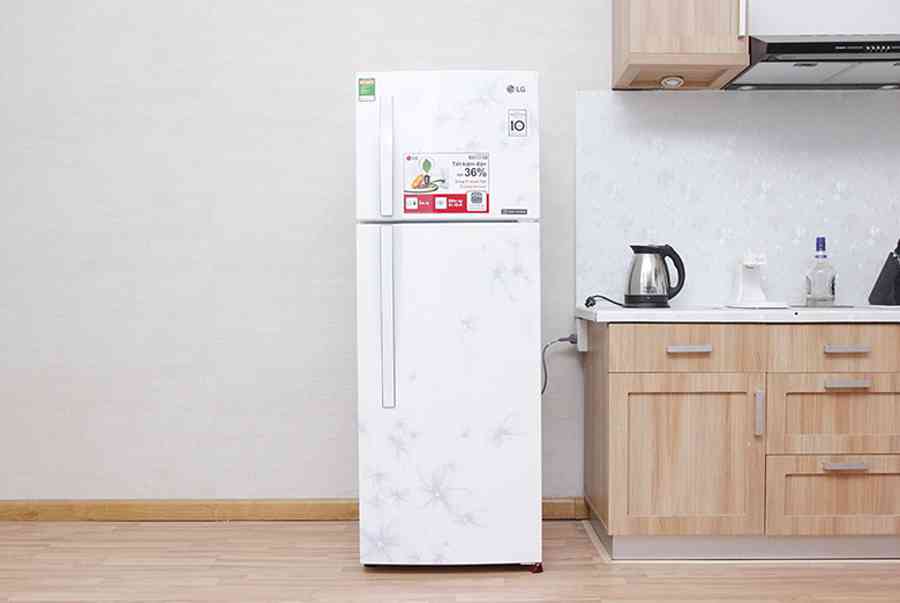 Tủ lạnh LG GN-L205BF 189 lít – dienmayxanh