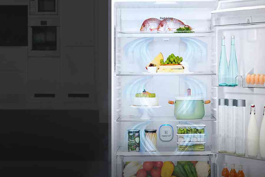 Tủ lạnh LG Inverter 315 lít GN-M315PS – Chính Hãng
